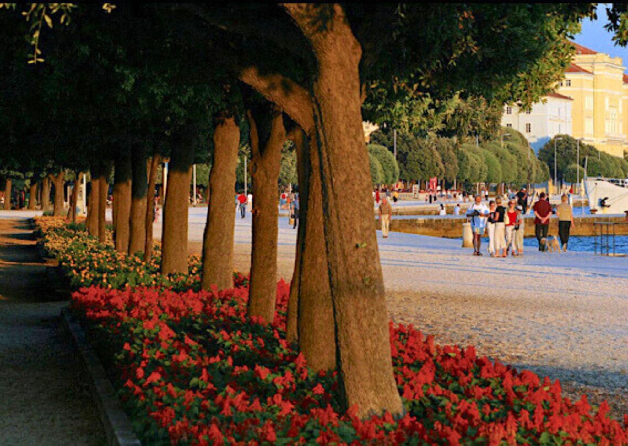 Apartament Nina,zadar